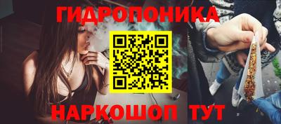 шишки Ярославль