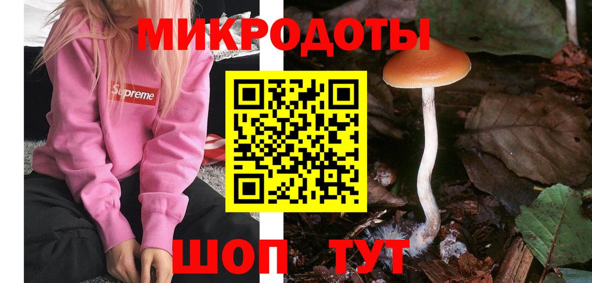 Галлюциногенные грибы MAGIC MUSHROOMS  Вход с VPN  Выкса 